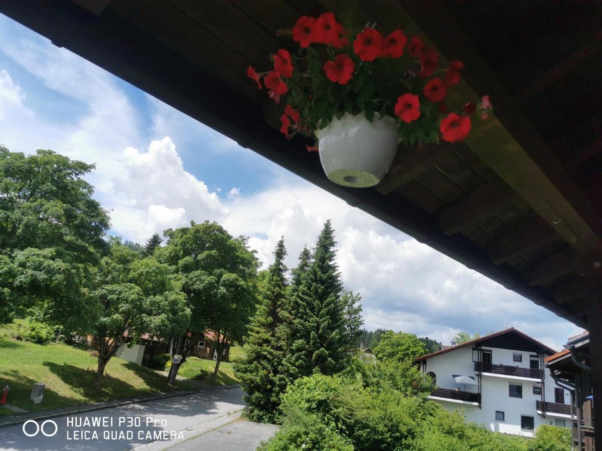 Aparthotel Chrysantihof - Bayerische Wald-Weber Zwiesel Exterior foto
